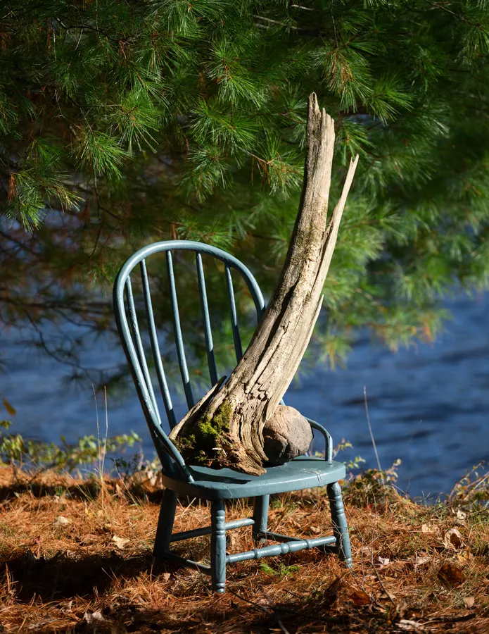 A chair sits in a wooded area, in the background is dark blue water, a tree stump on the chair
