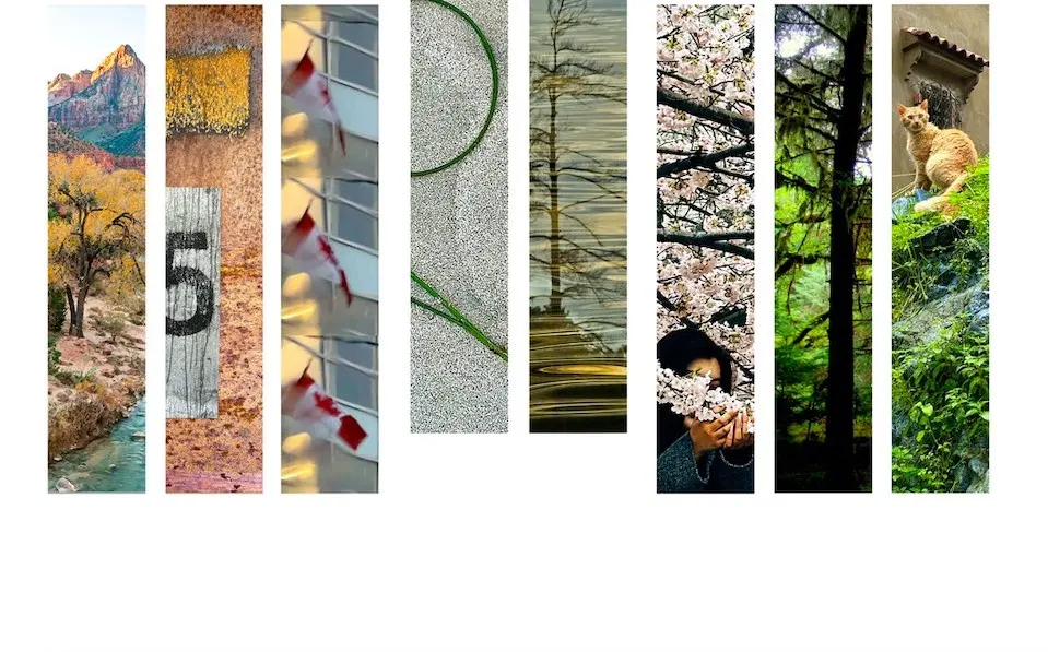 A collage of different nature images.