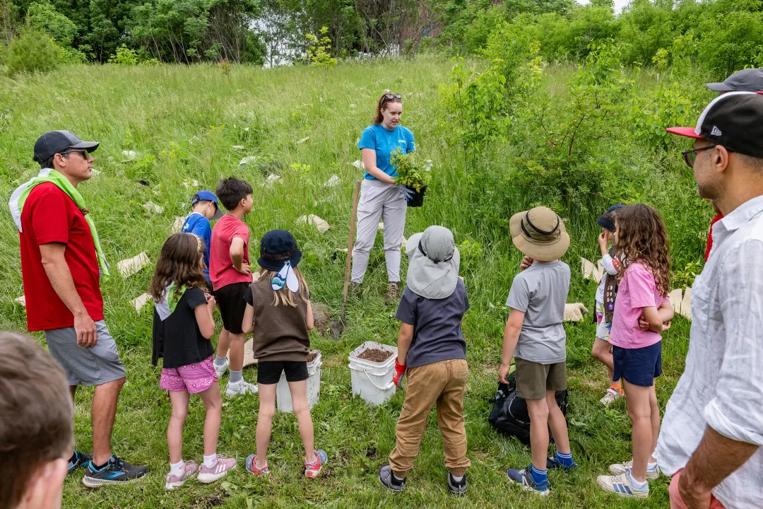 A group of people watching someone showing how to plant a tree.