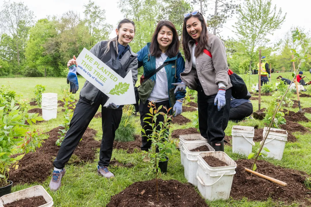 Three volunteers posing with a newly planted native shrub
