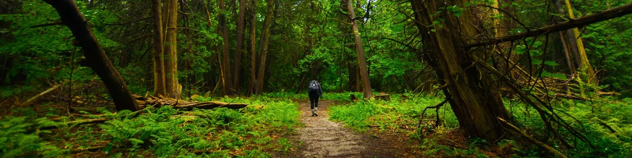 The landscape at Bob Hunter Memorial Park, from Parks Canada’s visitor-page header. Photo date not supplied.